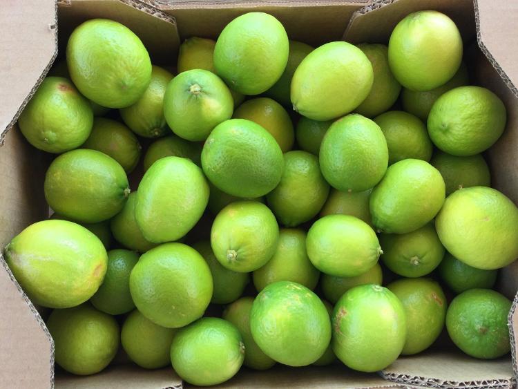 Citrons verts (limes) 2kg