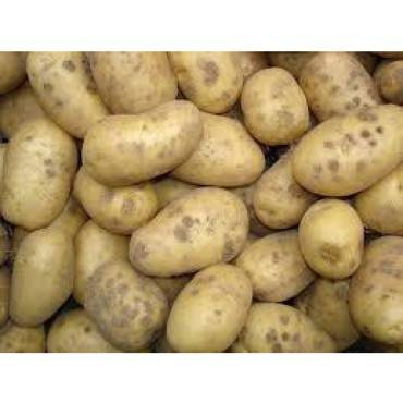 Pommes de terre Marabel 25kg