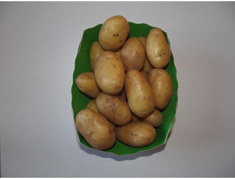 Pommes de terre Marabel