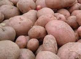 Pommes de terre Désirée 5kg