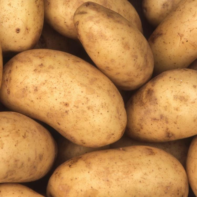 Pommes de terre Charlotte 25kg