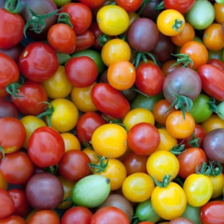 Tomate cerise en mélange par 500g-scea les jardins kobloth- retiré