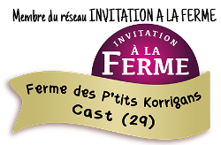 Fromage frais aux fruits framboise bio - 100g
