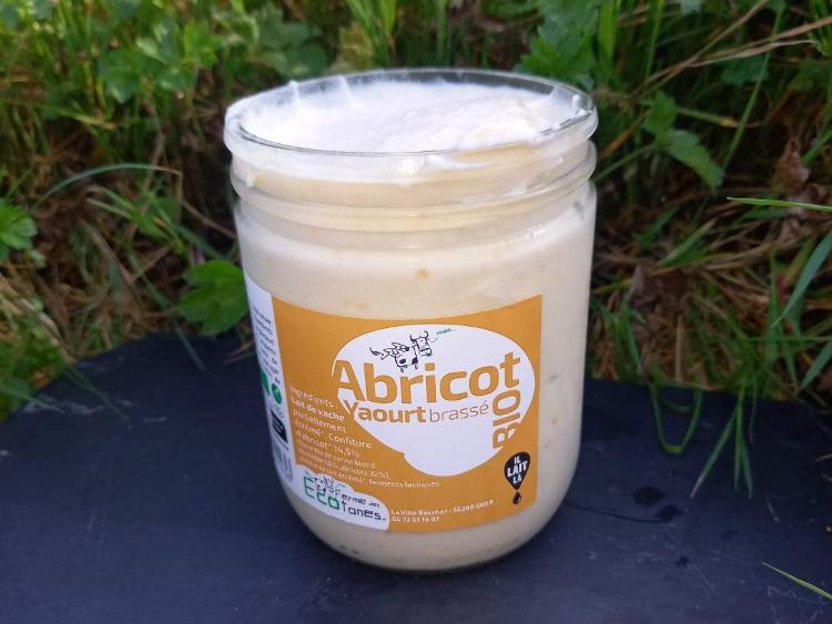 Yaourt brassé Abricot, pot de 450g ECOTONES