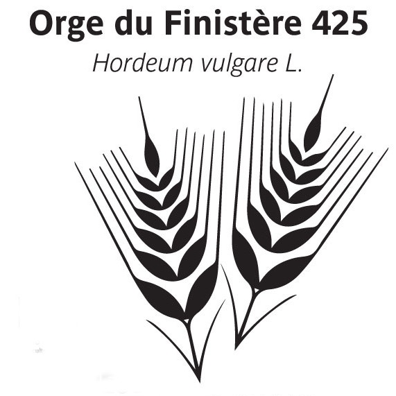 Orge du Finistère 425 - 100g