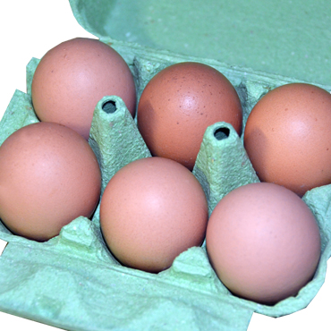 Boite de 6 œufs plein air, tous calibres