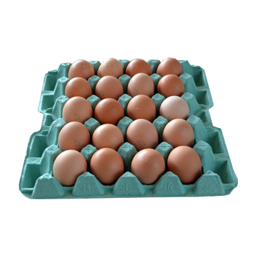 20 œufs plein air, +66grs