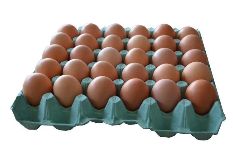 30 œufs BIOLOGIQUES calibre Moyen