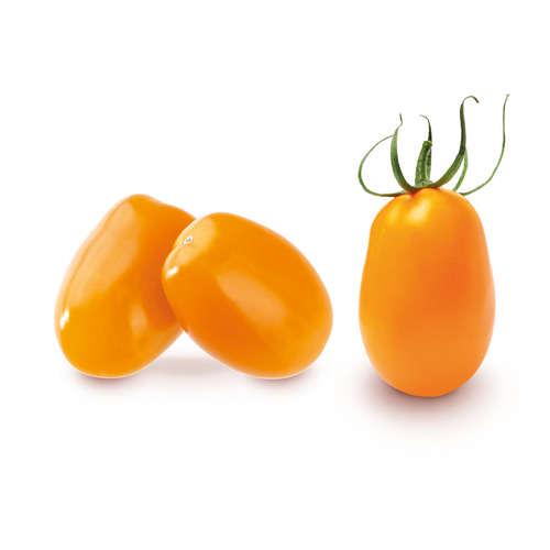 Tomate cerise jaune allongée - Origine France