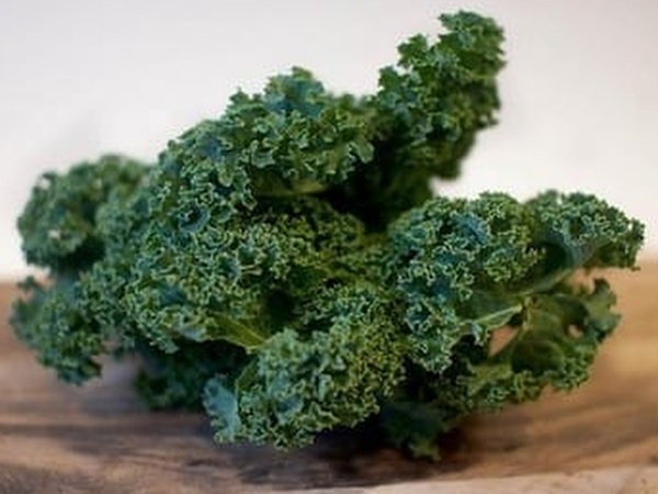 Choux Kale frisé vert/pourpre - origine France