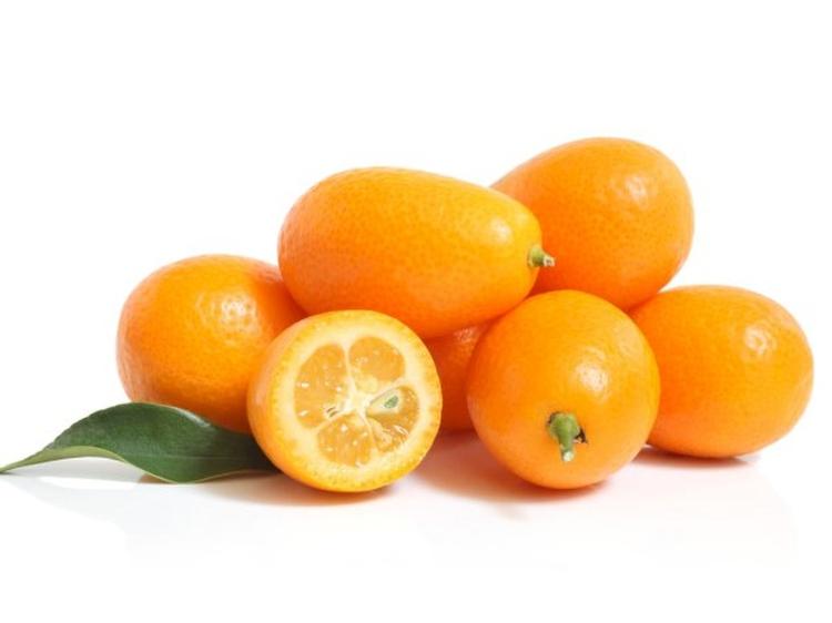 Kumquat - Origine Espagne
