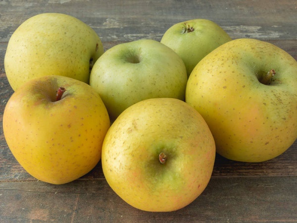 Pommes délis d'or- Origine France