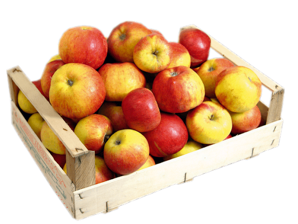 Pommes rouge Inobi 5Kg - Origine France
