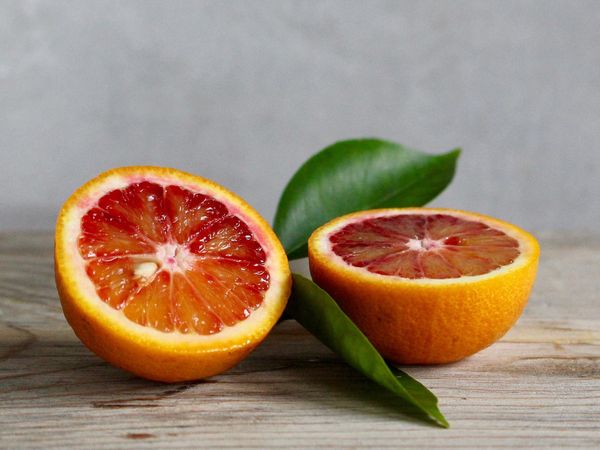 Oranges sanguines