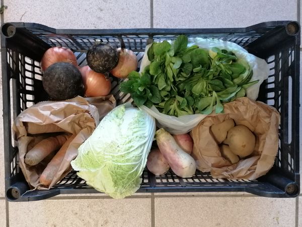 Panier de légumes de saison *moyen format (Vrac)