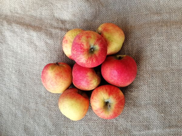Pommes "Akane" - 1kg