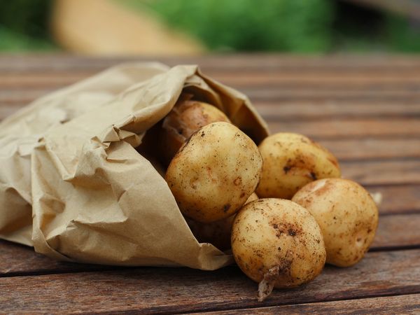 Pommes de terre nouvelle - 1kg