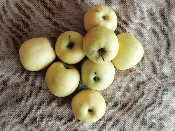Pommes "Chantecler" - 1kg