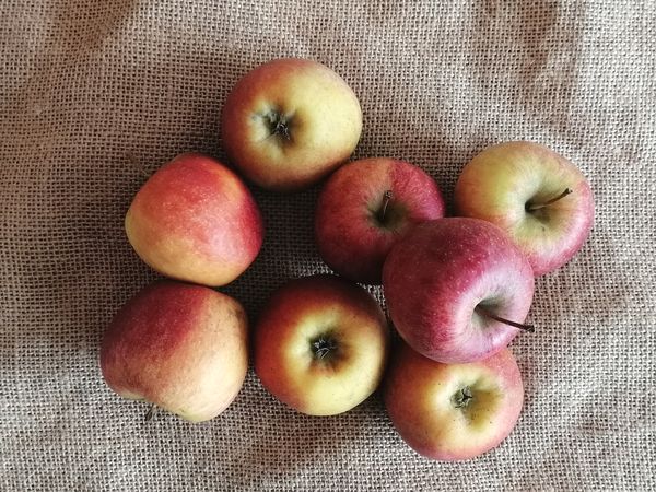 Pommes "Swing" - 2kg