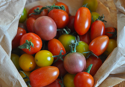 Tomates cerises (mix couleur selon récolte) - PROMO