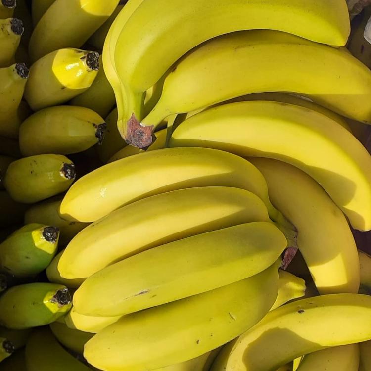 Bananes bio et équitable - environ 5pcs