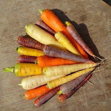 carottes couleur non lavées