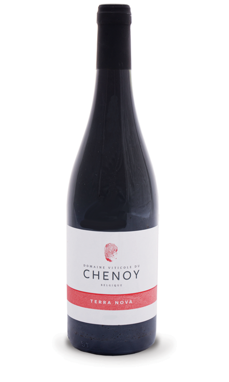 vin rouge "Terra Nova 2021"
