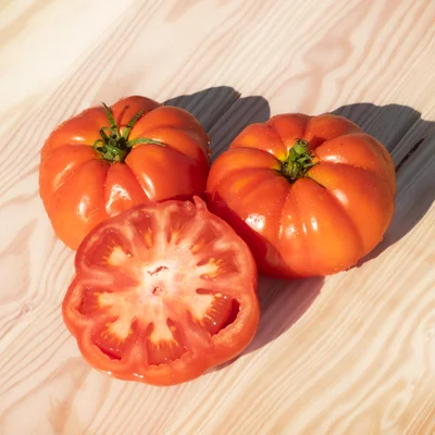 Tomate Rouge de namur - plant BIO