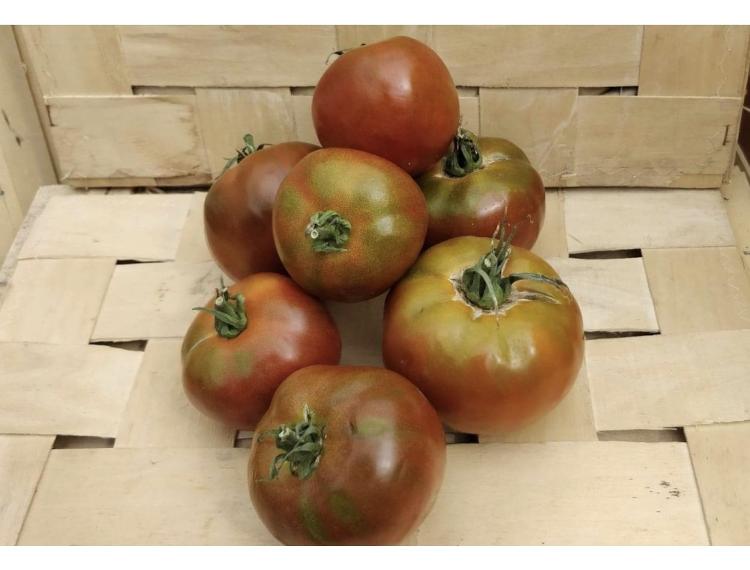 Tomates rondes type Noire de Crimée