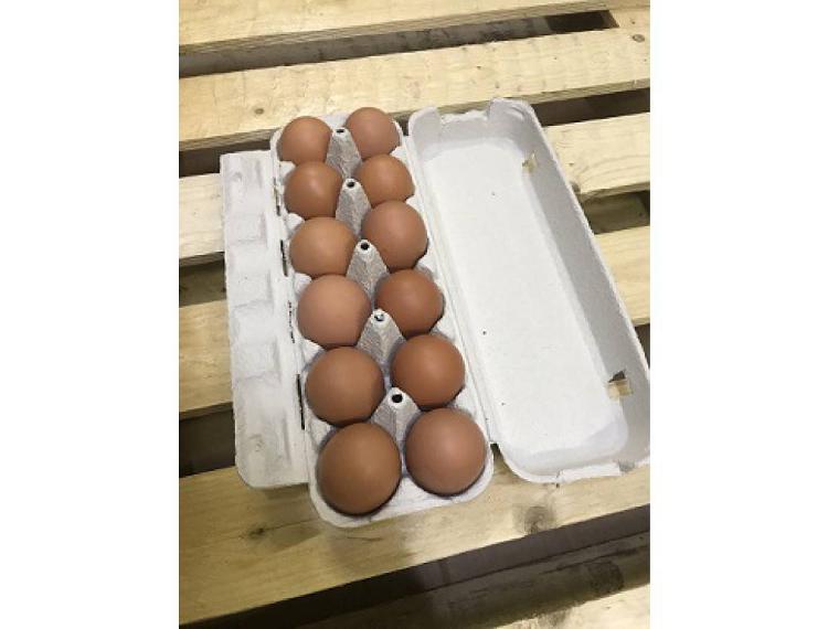 Boîte de 12 œufs plein air