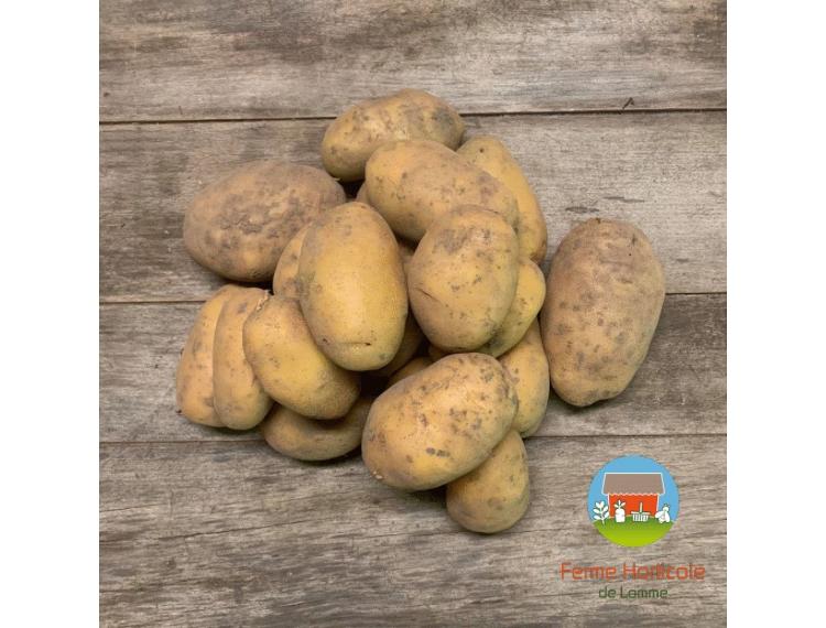 Pommes de terre chair ferme : vapeur, sautées - 10kg