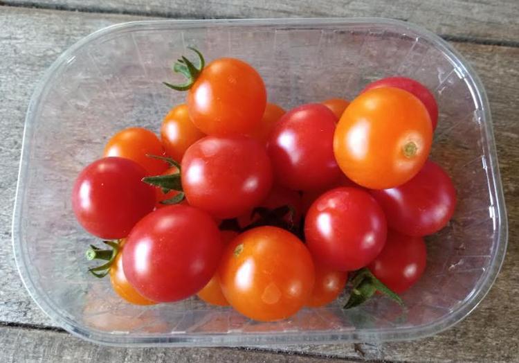 Tomates cerises mix couleurs