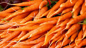carotte plein champ