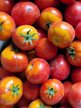 tomate diverses pour coulis