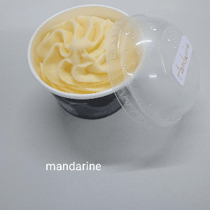 Glace au  lait de chèvre  mandarine pot familial 400g