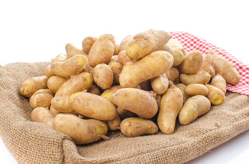 Pommes de terre de consommation RATTE
