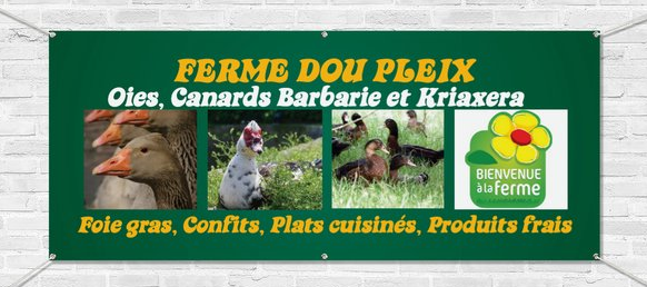 Foie gras frais de canard Barbarie