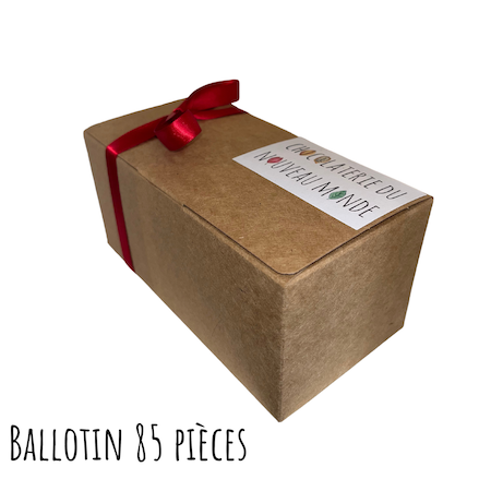 Ballotin pralinés - LAIT & NOIR 500g