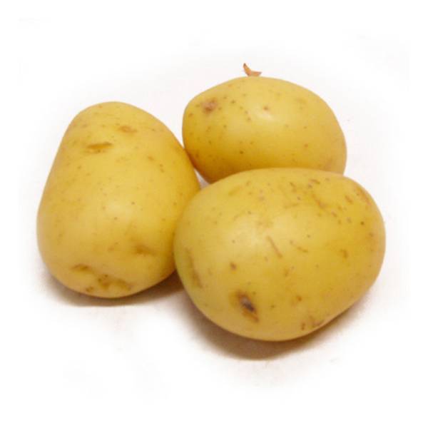Pommes de terre nouvelles "SIRTEMA"