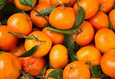 Clementine de Corse