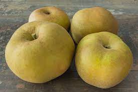 Pomme Canada grise