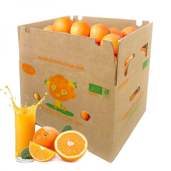 15kg : 6 Mandarine, 6 orange, 3 citron