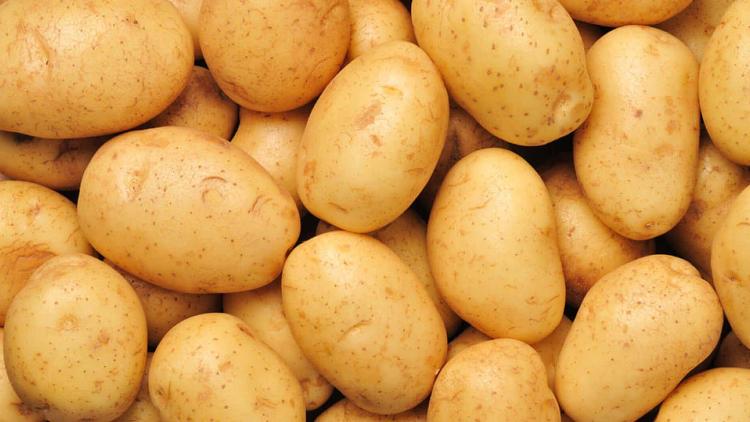 Pommes de terre nouvelles - chaire tendre