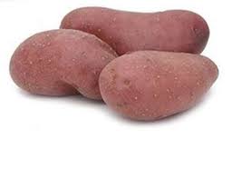 Pommes de terre roses - chaire tendre