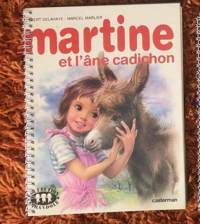 Carnet Martine et l'âne Cabichon